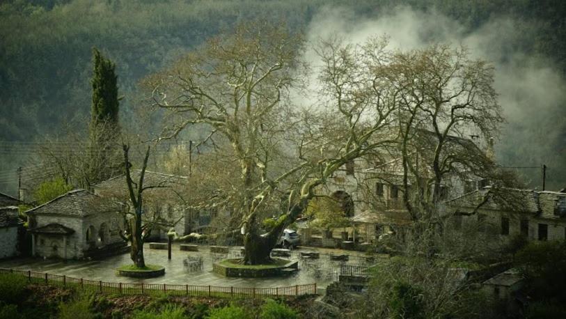 Βίτσα Πετρόκτιστο Αρχοντικό "Ιόλη" Με Θέα Ζαγόρι Villa Exteriör bild