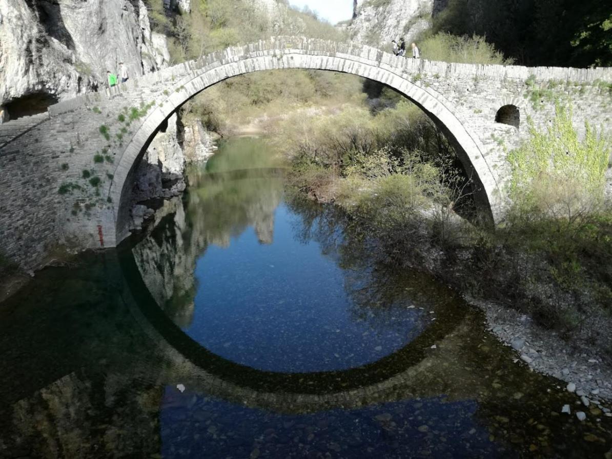 Βίτσα Πετρόκτιστο Αρχοντικό "Ιόλη" Με Θέα Ζαγόρι Villa Exteriör bild